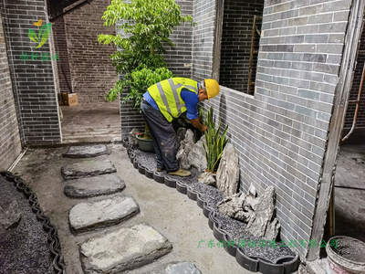 历时半个月!位于禅城岭南盛世的茶舍园林绿化工程改造项目已顺利完工