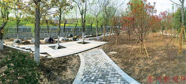 实施园林绿化 311 工程 泰州市区将新建3个大型公园